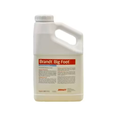 BRANDT BIG FOOT